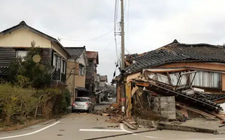 Japan Earthquake: Hope Dims for Survivors as Nearly 250 Remain Missing