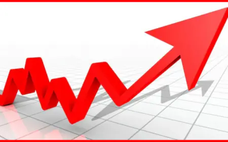 December 2023 Marks Record $10.1 Billion Surge In Foreign Investments For India
