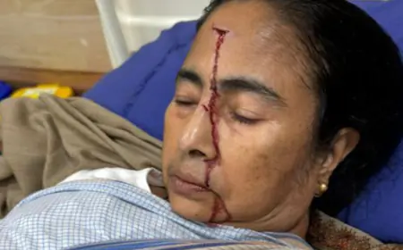 Mamata Banerjee Back Home Post Hospital Care Following Injury From Domestic Fall